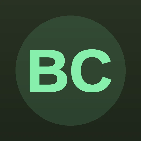 Brian M Chase - Attorney