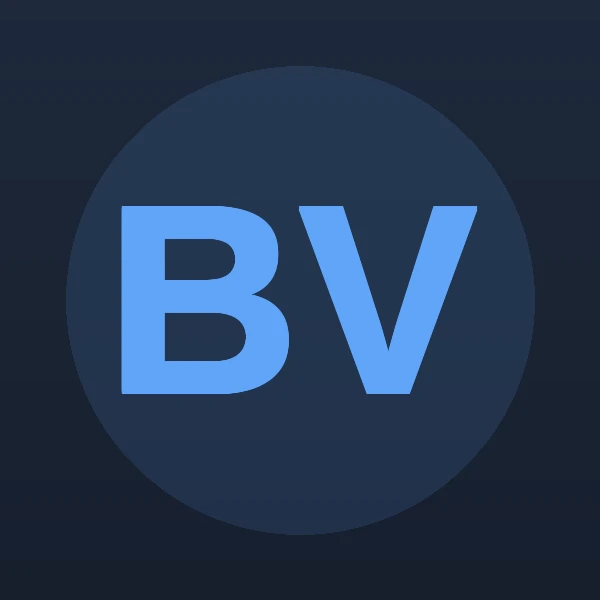 Brian Patrick Vincent - Attorney