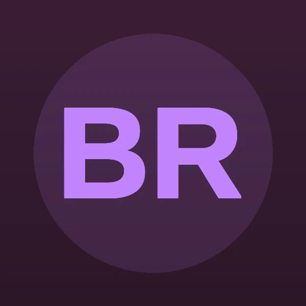 Bruce Edwin Robinson - Attorney