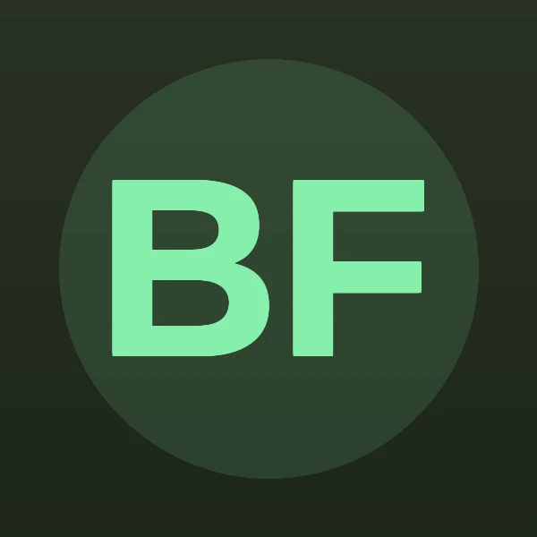 Bruce Irwin Feinstein - Attorney