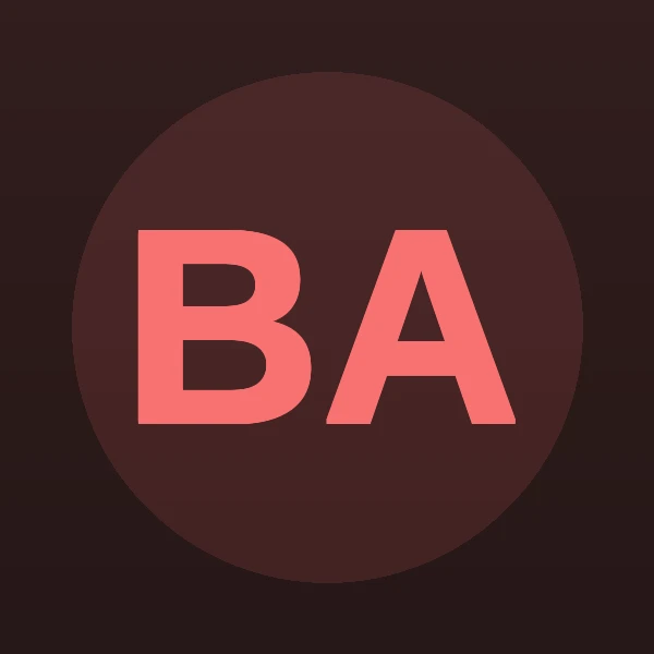 Bryce Frank Abel - Attorney