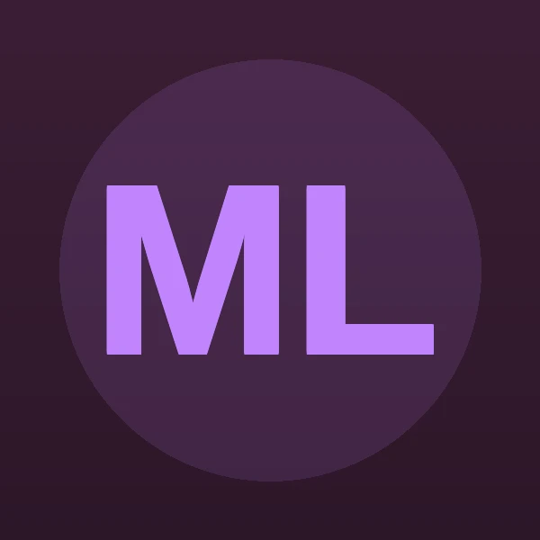 Mitchell Paul Lieberman - Attorney
