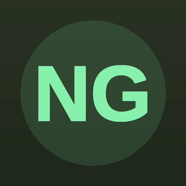 Neil A. Gudsen - Attorney