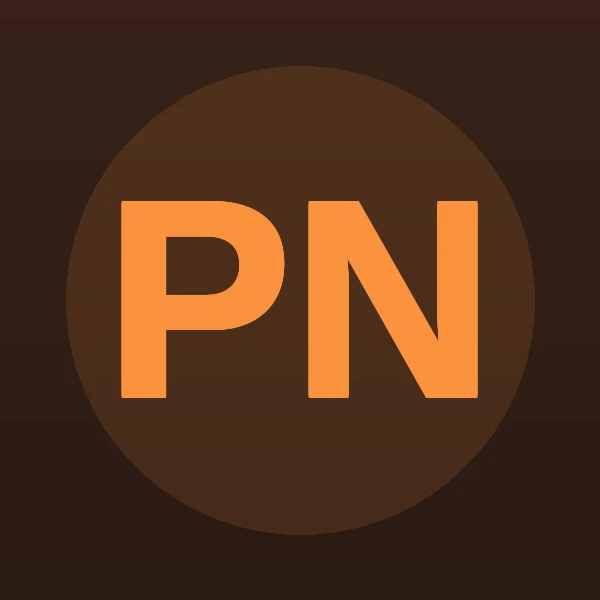 Peter Alan Nelson - Attorney