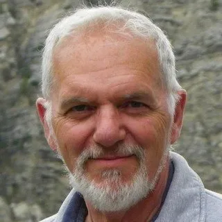 Lawyer Ronald Lewis