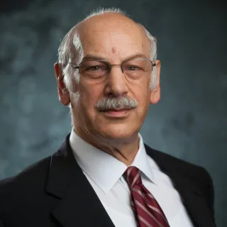Lawyer Leslie Mark Greenbaum