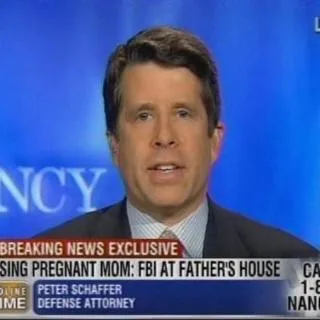 Lawyer Peter Joel Schaffer