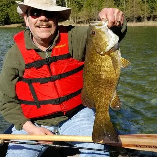 Lawyer John Daugherty