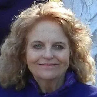 Lawyer Brigit S. Barnes