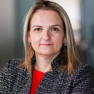 Lawyer Yelena Gurevich